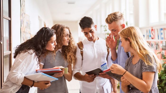 MBA In Human Resources Overview